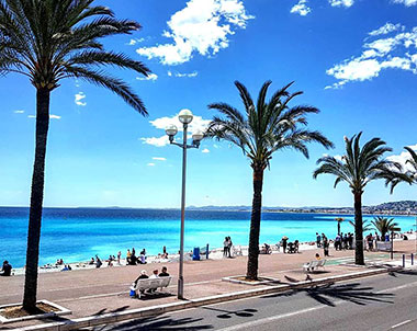 Palme sul lungomare di Nizza - soggiorni studio per ragazzi scuola di francese Azurlingua