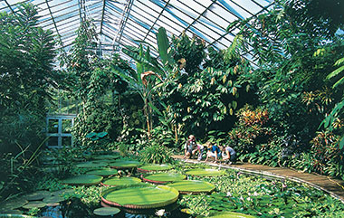 Il famoso orto botanico di Edimburgo