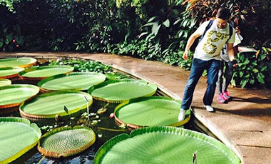 Attività extrascolastiche a Edimburgo: visita al Royal Botanic Garden