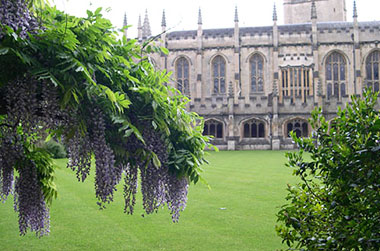 Un college di Oxford