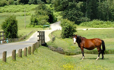 Un parco cittadino Bournemouth